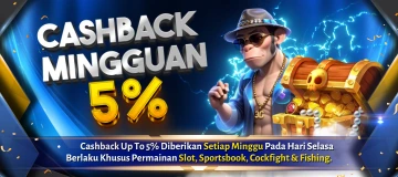 DONATUR87 promo